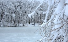 Снегопад и ледяной дождь в Донлесхозе и окрестностях