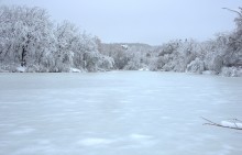 Снегопад и ледяной дождь в Донлесхозе и окрестностях