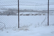 Снегопад и ледяной дождь в Донлесхозе и окрестностях