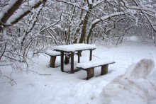 Снегопад и ледяной дождь в Донлесхозе и окрестностях
