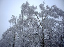 Снегопад и ледяной дождь в Донлесхозе и окрестностях