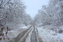Снегопад и ледяной дождь в Донлесхозе и окрестностях