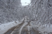 Снегопад и ледяной дождь в Донлесхозе и окрестностях