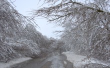 Снегопад и ледяной дождь в Донлесхозе и окрестностях