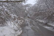 Снегопад и ледяной дождь в Донлесхозе и окрестностях
