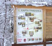 Снегопад и ледяной дождь в Донлесхозе и окрестностях