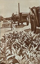 Ростсельмаш 30-х годов