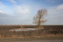 Февральское небо между Бессергеневской и Багаевской