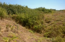 Хазарское городище на Керчике