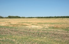 Хазарское городище на Керчике