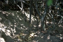 Хазарское городище на Керчике