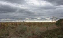 Горы на правом берегу реки Керчик