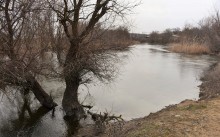 Прогулка по Мишкинским буграм в начале марта