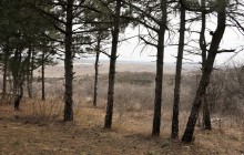 Прогулка по Мишкинским буграм в начале марта