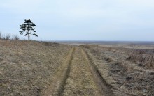 Прогулка по Мишкинским буграм в начале марта