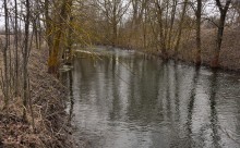 Прогулка по Мишкинским буграм в начале марта