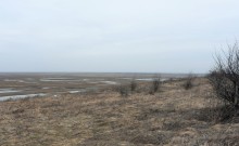 Прогулка по Мишкинским буграм в начале марта