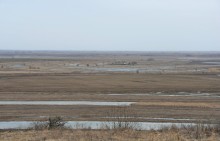 Прогулка по Мишкинским буграм в начале марта