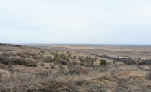 Прогулка по Мишкинским буграм в начале марта