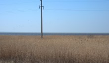 Сине-зелёная вода Ейского лимана