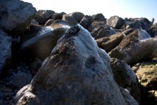 Утро и вечер на Ейской косе в начале марта