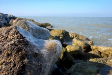 Утро и вечер на Ейской косе в начале марта