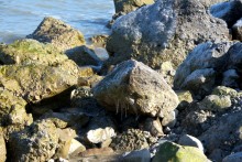 Утро и вечер на Ейской косе в начале марта