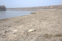 Хутор Михайловский на Северском Донце и стояка людей каменного века 