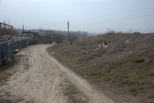 Хутор Михайловский на Северском Донце и стояка людей каменного века 