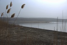 Хутор Михайловский на Северском Донце и стояка людей каменного века 