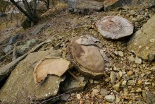 Хутор Михайловский на Северском Донце и стояка людей каменного века 