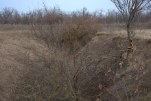 Большой овраг на берегу Северского Донца у хутора МСихайловский