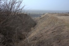 Большой овраг на берегу Северского Донца у хутора МСихайловский