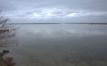 Весна и перелётные птицы на Маныче