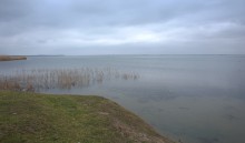 Весна и перелётные птицы на Маныче