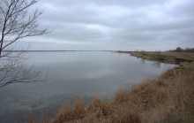 Весна и перелётные птицы на Маныче