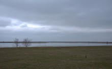 Весна и перелётные птицы на Маныче