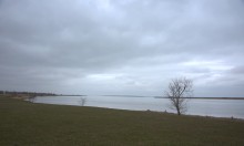 Весна и перелётные птицы на Маныче