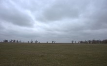 Весна и перелётные птицы на Маныче