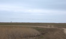 Весна и перелётные птицы на Маныче