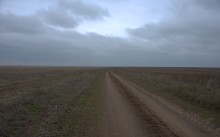 Весна и перелётные птицы на Маныче