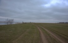 Весна и перелётные птицы на Маныче