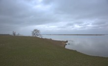 Весна и перелётные птицы на Маныче