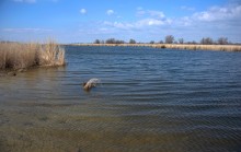 Весна в долине Кагальника и на его притоках, Эльбузде и Мечётке