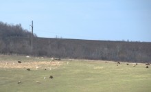 Весна в долине Кагальника и на его притоках, Эльбузде и Мечётке