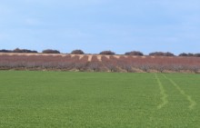 Весна в долине Кагальника и на его притоках, Эльбузде и Мечётке