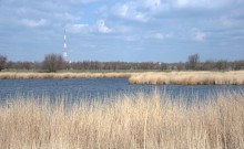 Весна в долине Кагальника и на его притоках, Эльбузде и Мечётке