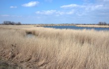 Весна в долине Кагальника и на его притоках, Эльбузде и Мечётке
