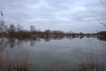 Тихая весна