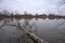 Тихая весна